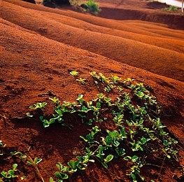 策略游戏《陷阵之志》高级版更新上线 全新小队、Boss等