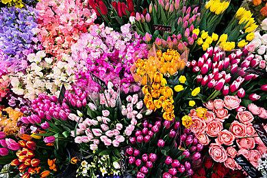 任天堂不会追逐开发成本 更重视前所未有的游戏创意